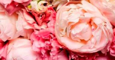 Los 10 pasos de Louise Hay