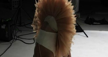 Principios básicos de Danza Ballet®