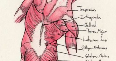 ¿Qué son las contracturas musculares y cómo se tratan?