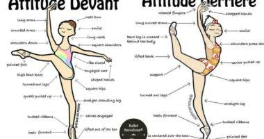 Attitude devant & derrière