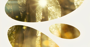 Carolina de Pedro · Astrología y Tarot