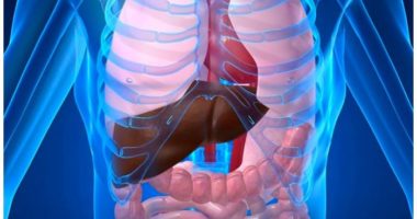 Los órganos del cuerpo y su relación con las emociones