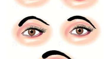 Las cejas ...